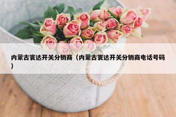 内蒙古寰达开关分销商（内蒙古寰达开关分销商电话号码）