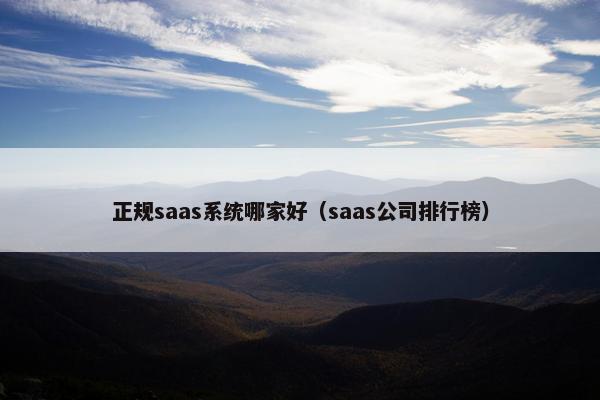 正规saas系统哪家好（saas公司排行榜）