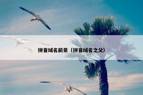 拼音域名前景（拼音域名之父）