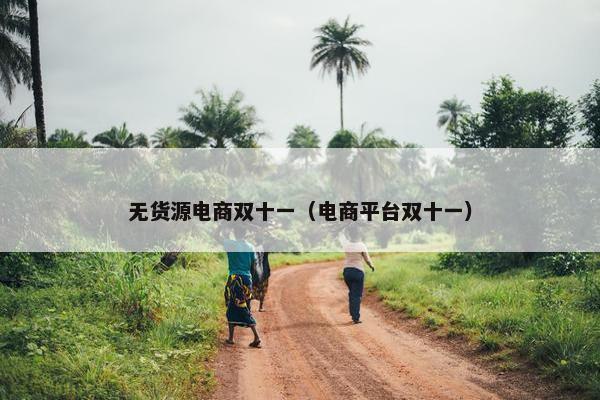 无货源电商双十一（电商平台双十一）