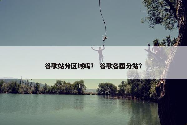 谷歌站分区域吗？ 谷歌各国分站？