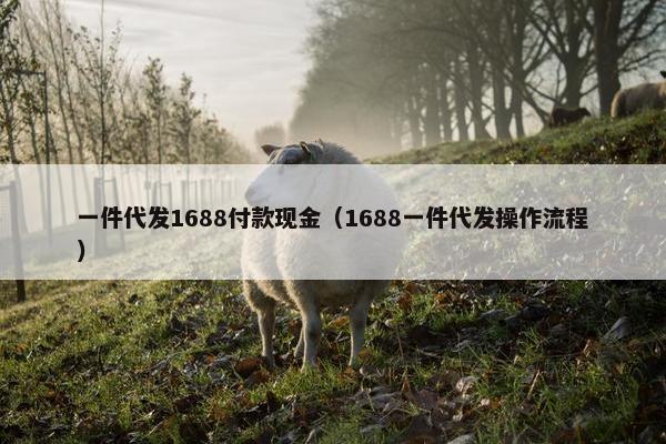一件代发1688付款现金（1688一件代发操作流程）