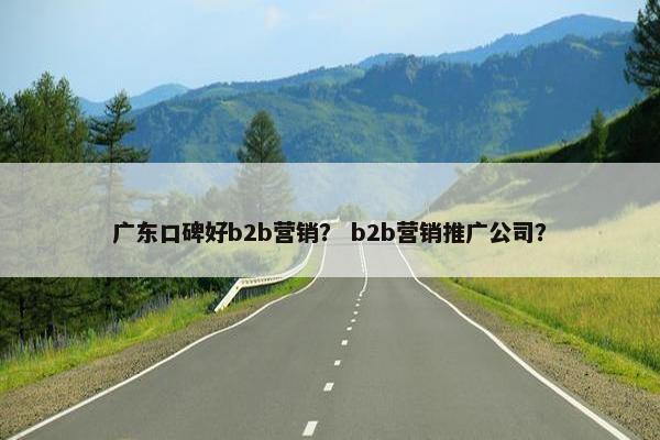 广东口碑好b2b营销？ b2b营销推广公司？
