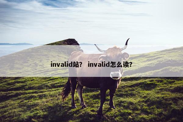 invalid站？ invalid怎么读？