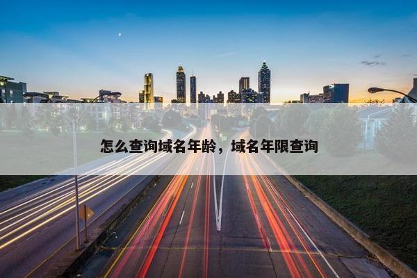 怎么查询域名年龄，域名年限查询