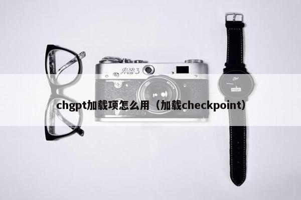 chgpt加载项怎么用（加载checkpoint）