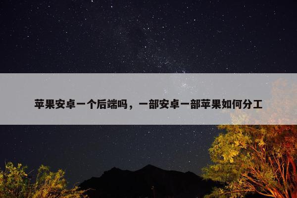 苹果安卓一个后端吗，一部安卓一部苹果如何分工
