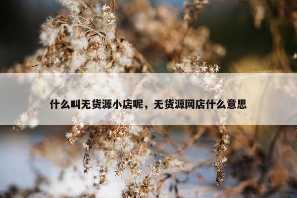 什么叫无货源小店呢，无货源网店什么意思