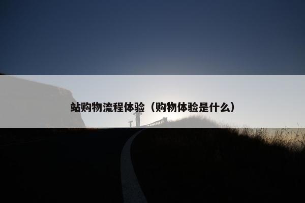 站购物流程体验（购物体验是什么）