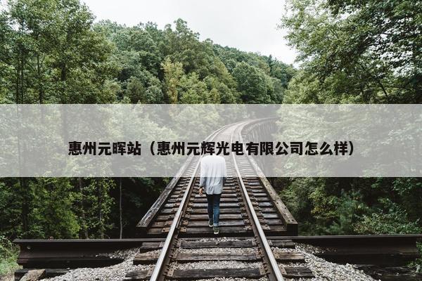惠州元晖站（惠州元辉光电有限公司怎么样）