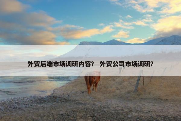 外贸后端市场调研内容？ 外贸公司市场调研？