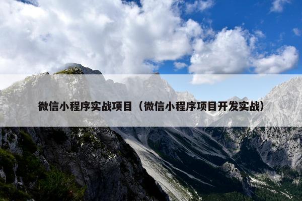 微信小程序实战项目（微信小程序项目开发实战）