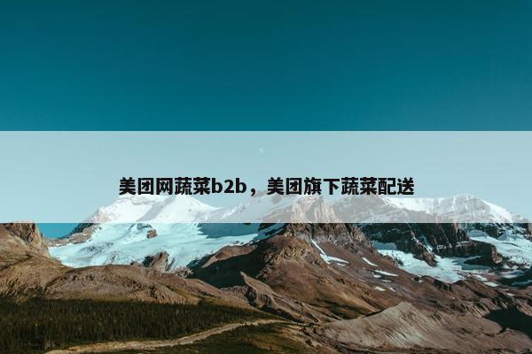 美团网蔬菜b2b，美团旗下蔬菜配送