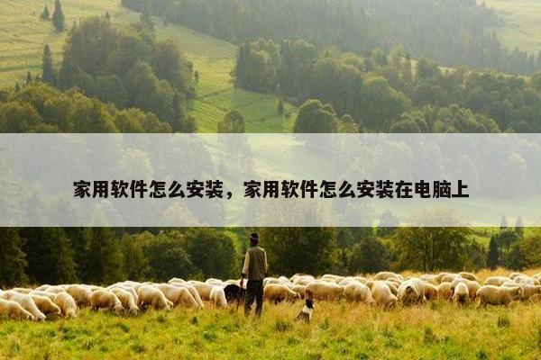 家用软件怎么安装，家用软件怎么安装在电脑上