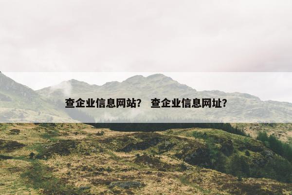 查企业信息网站？ 查企业信息网址？