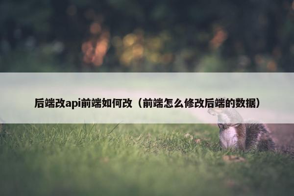 后端改api前端如何改（前端怎么修改后端的数据）