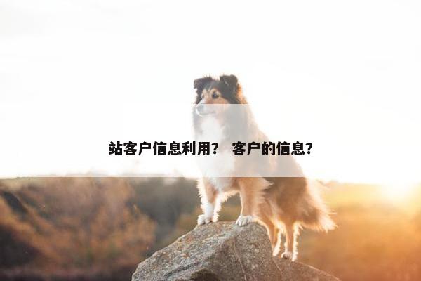 站客户信息利用？ 客户的信息？