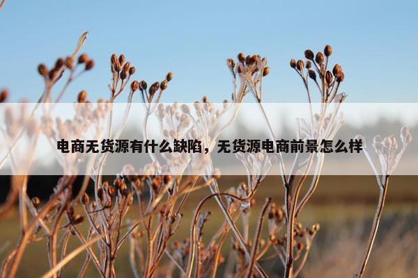 电商无货源有什么缺陷，无货源电商前景怎么样