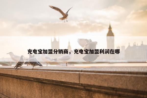充电宝加盟分销商，充电宝加盟利润在哪