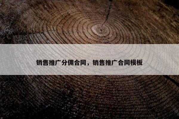 销售推广分佣合同，销售推广合同模板