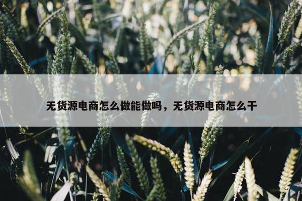 无货源电商怎么做能做吗，无货源电商怎么干