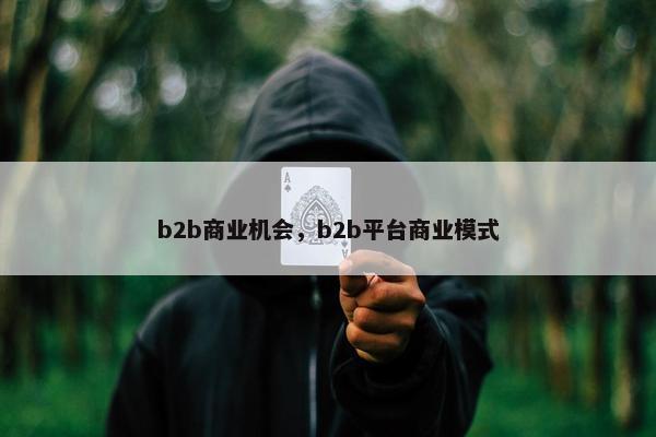 b2b商业机会，b2b平台商业模式
