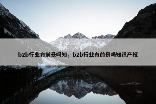 b2b行业有前景吗知，b2b行业有前景吗知识产权