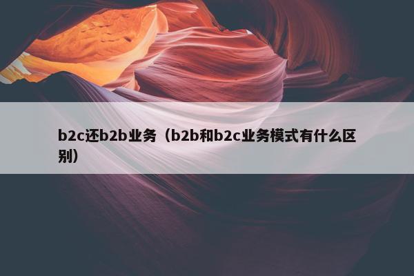 b2c还b2b业务（b2b和b2c业务模式有什么区别）
