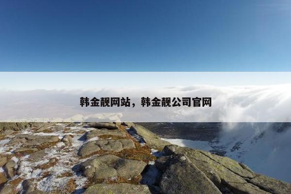 韩金靓网站，韩金靓公司官网