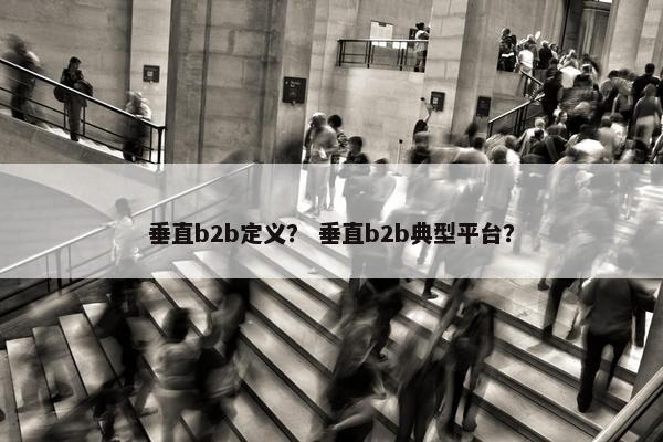 垂直b2b定义？ 垂直b2b典型平台？