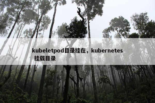 kubeletpod目录挂在，kubernetes 挂载目录