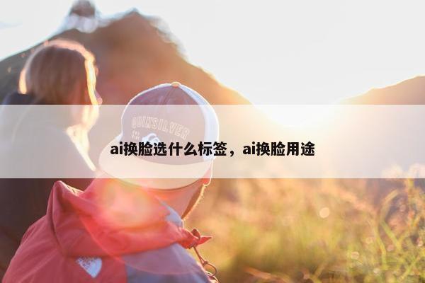 ai换脸选什么标签，ai换脸用途