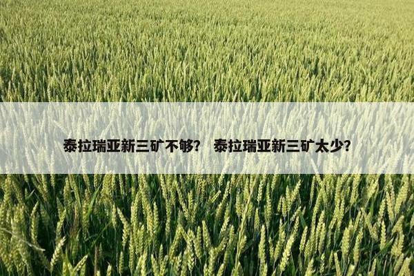 泰拉瑞亚新三矿不够？ 泰拉瑞亚新三矿太少？