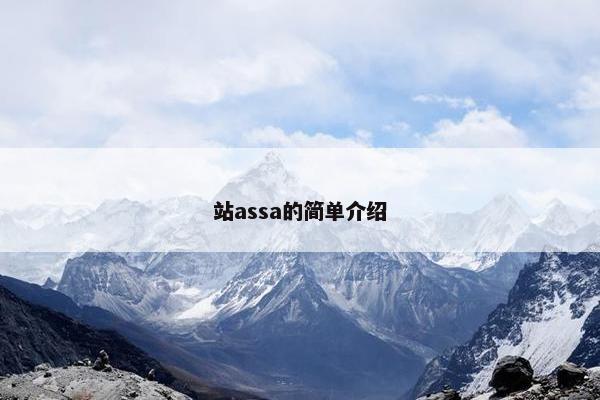站assa的简单介绍
