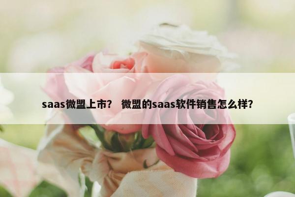 saas微盟上市？ 微盟的saas软件销售怎么样？