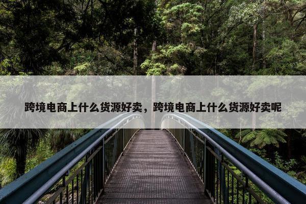 跨境电商上什么货源好卖，跨境电商上什么货源好卖呢