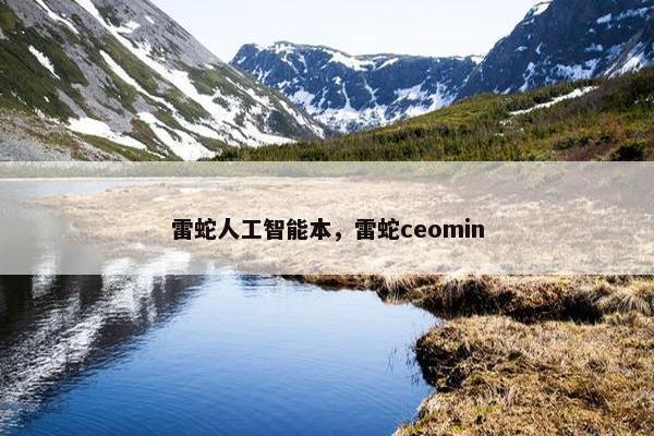 雷蛇人工智能本，雷蛇ceomin