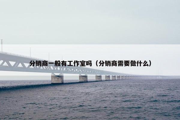分销商一般有工作室吗（分销商需要做什么）