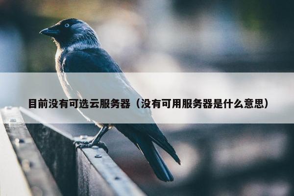 目前没有可选云服务器（没有可用服务器是什么意思）
