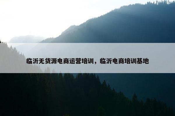 临沂无货源电商运营培训，临沂电商培训基地