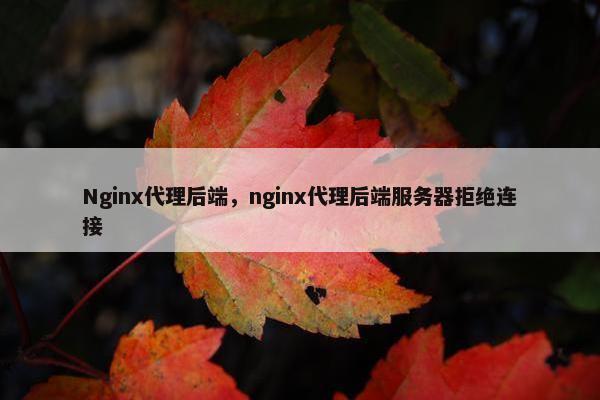Nginx代理后端，nginx代理后端服务器拒绝连接
