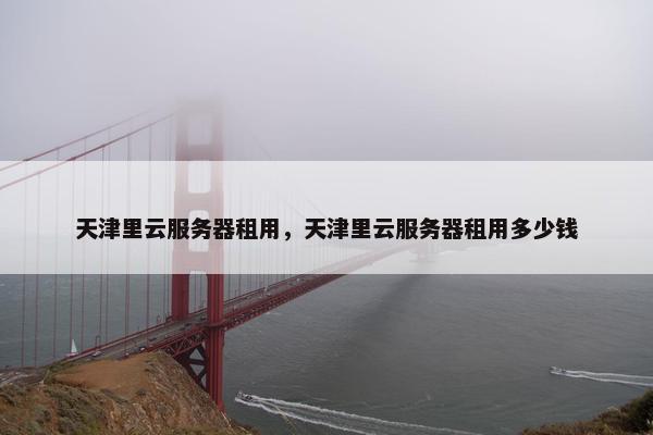 天津里云服务器租用，天津里云服务器租用多少钱