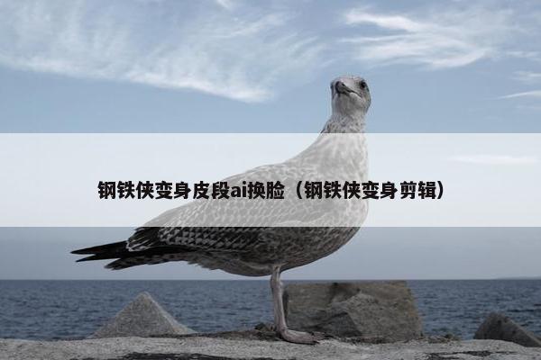 钢铁侠变身皮段ai换脸（钢铁侠变身剪辑）