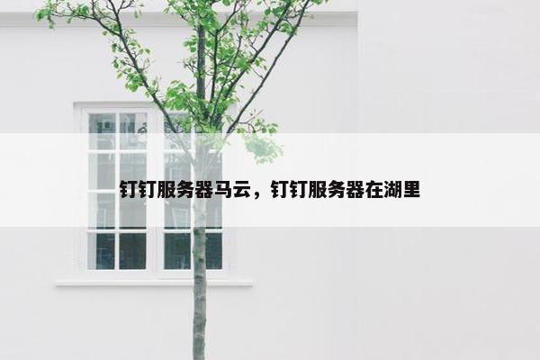 钉钉服务器马云，钉钉服务器在湖里