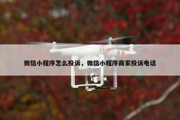 微信小程序怎么投诉，微信小程序商家投诉电话