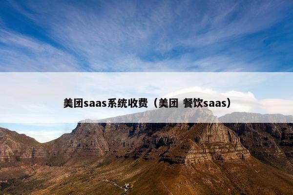 美团saas系统收费（美团 餐饮saas）
