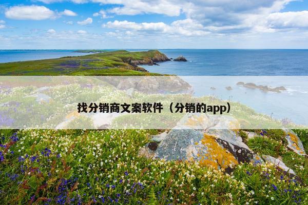 找分销商文案软件（分销的app）