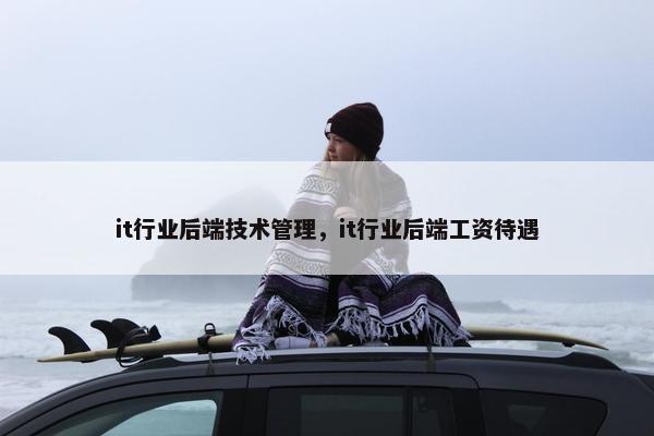 it行业后端技术管理，it行业后端工资待遇