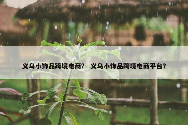 义乌小饰品跨境电商？ 义乌小饰品跨境电商平台？