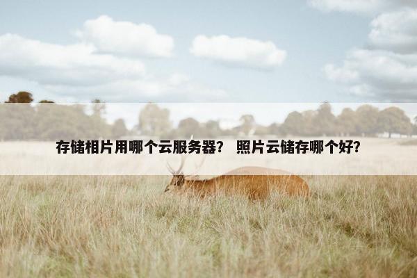 存储相片用哪个云服务器？ 照片云储存哪个好？